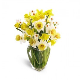 Le bouquet Couleurs de Printemps Le bouquet Couleurs de Printemps